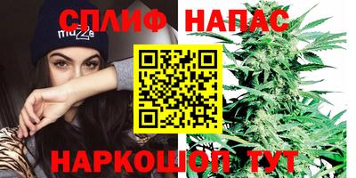 сатива Ипатово