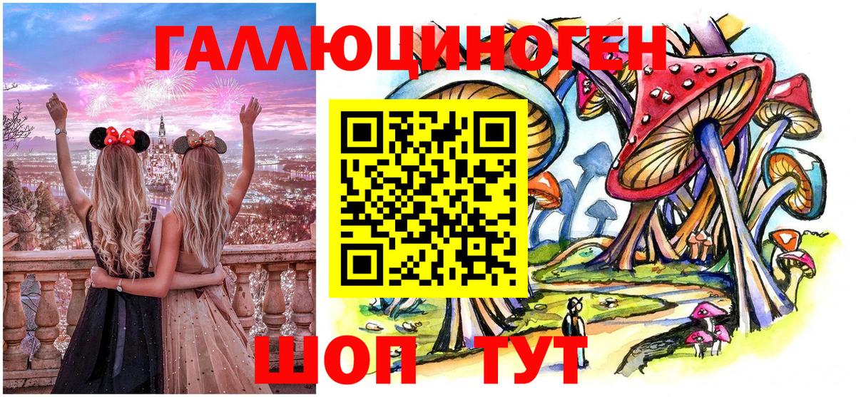 Галлюциногенные грибы Cubensis Курчалой
