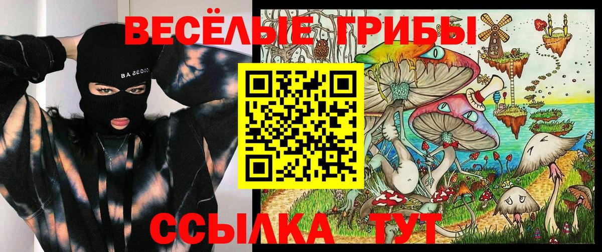 Псилоцибиновые грибы прущие грибы  Вход с VPN  Галлюциногенные грибы Psilocybe  Курчалой 