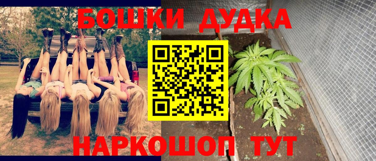 Бошки Шишки план  МАРИХУАНА LSD WEED  Бошки Шишки тримм  Курчалой  Вход с VPN  Конопля SATIVA & INDICA 